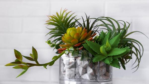 No Shame in my Faux Plant Game